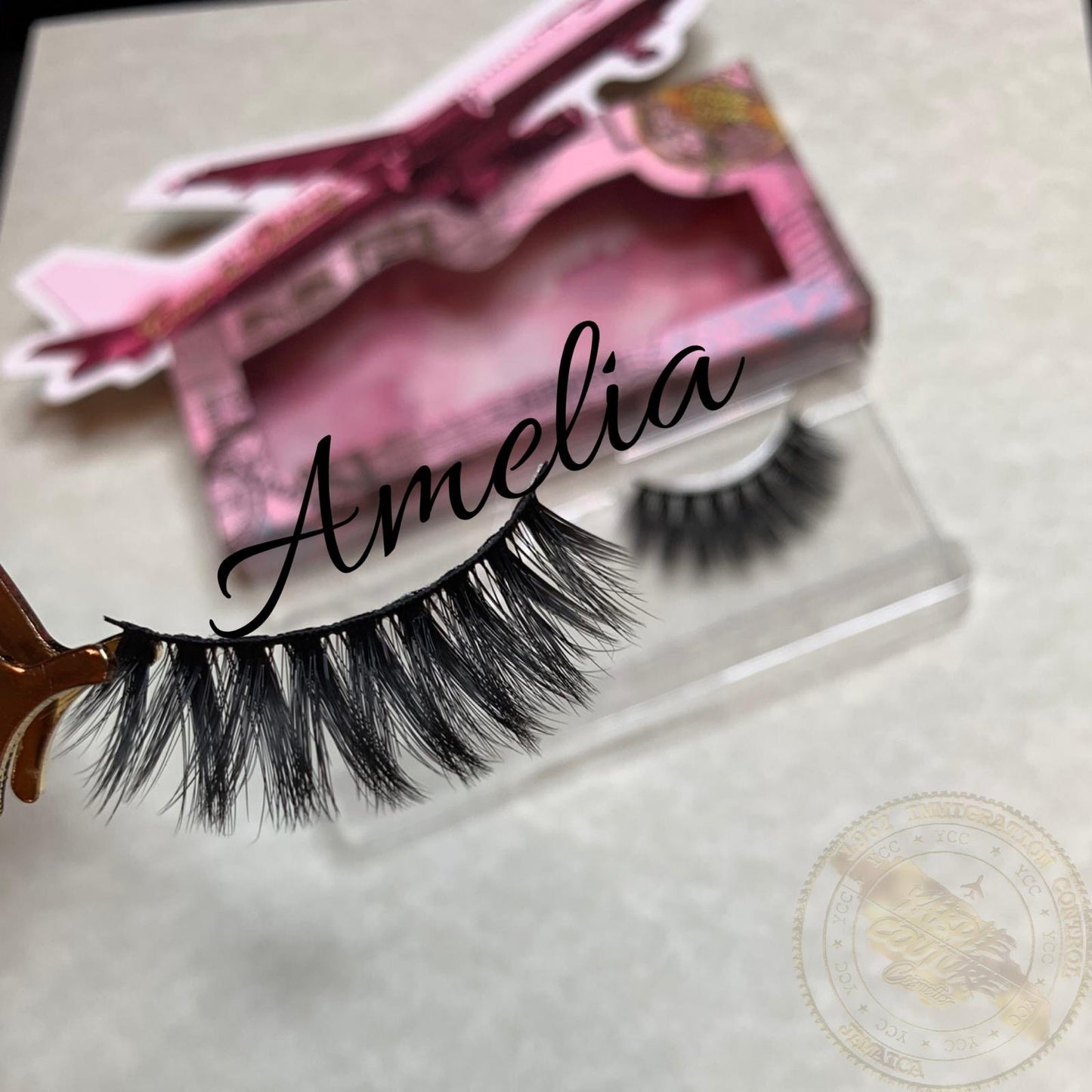 Jet Set Lashes: Short-Haul Bundle